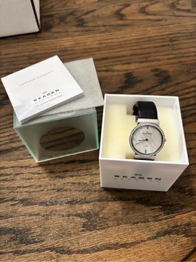 Brand New Skagen Watch
